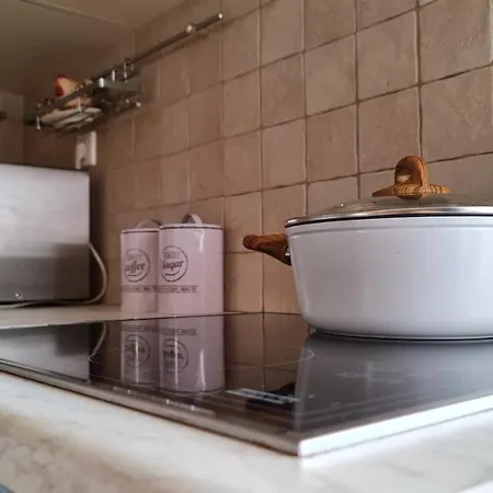 公寓 прекрасная квартира Olga-house Syros