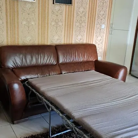 公寓 прекрасная квартира Olga-house Syros