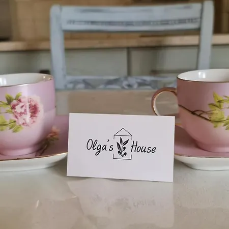 公寓 прекрасная квартира Olga-house Syros 埃尔莫波利斯